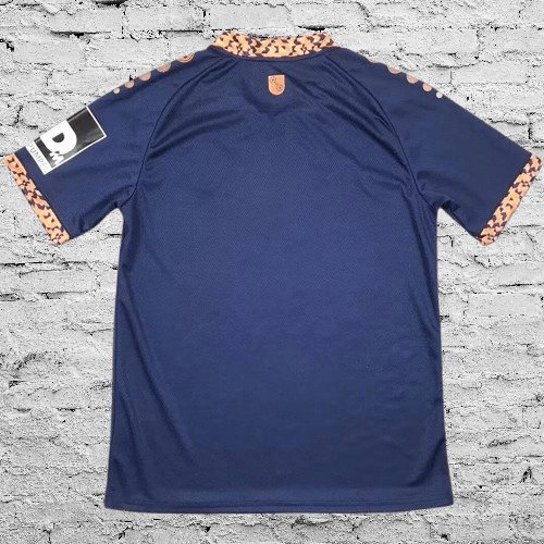 Maillot Mayence 2024 - 2025 (Édition Supporter) - MaillotPlug